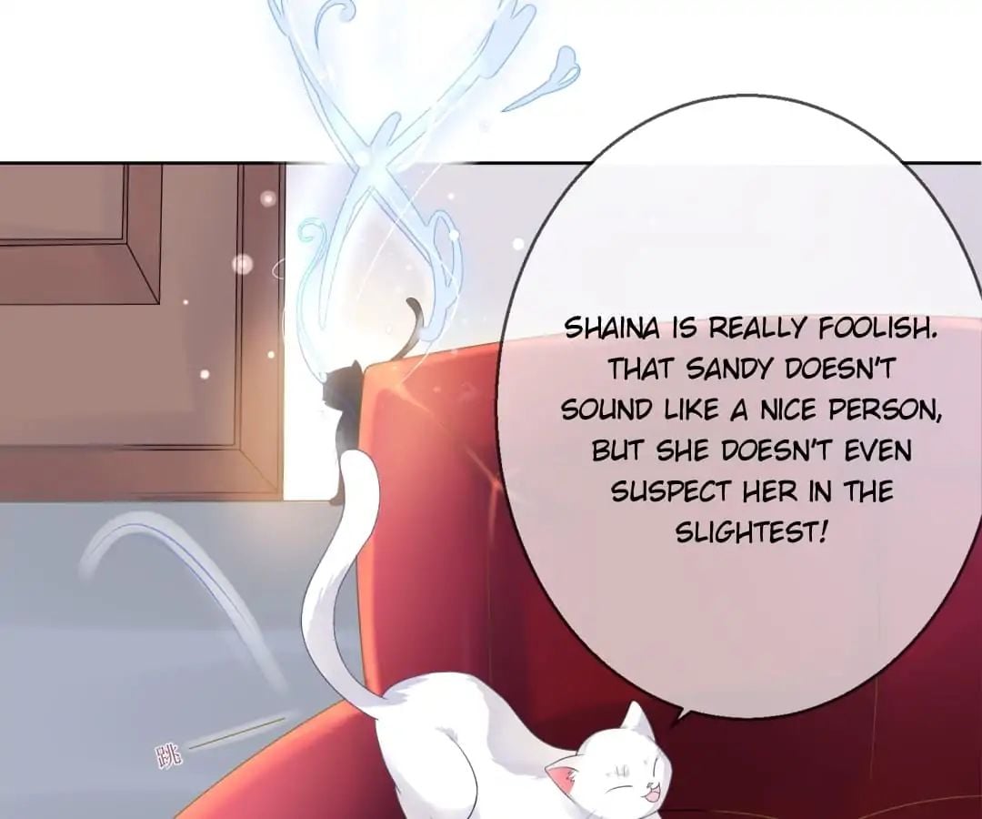 Popular Deskmate is A Cat chapter 5 - page 73