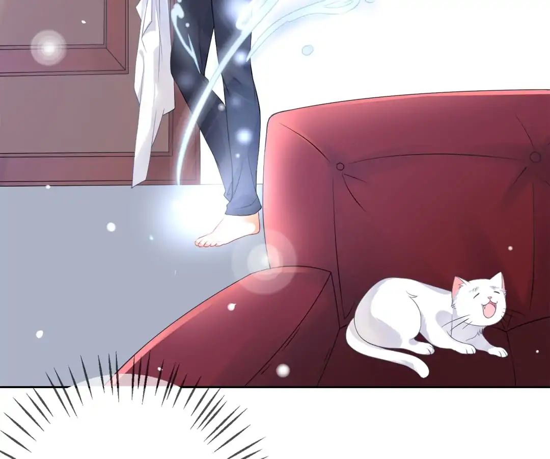 Popular Deskmate is A Cat chapter 5 - page 76