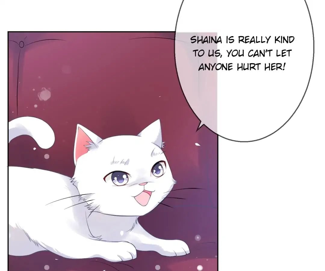 Popular Deskmate is A Cat chapter 5 - page 79