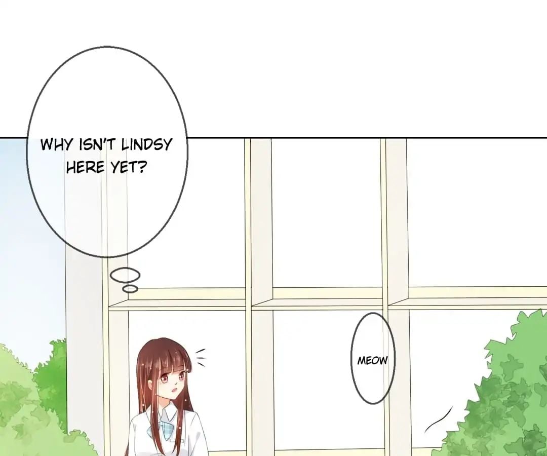 Popular Deskmate is A Cat chapter 6 - page 1