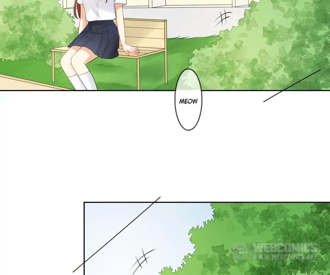 Popular Deskmate is A Cat chapter 6 - page 2
