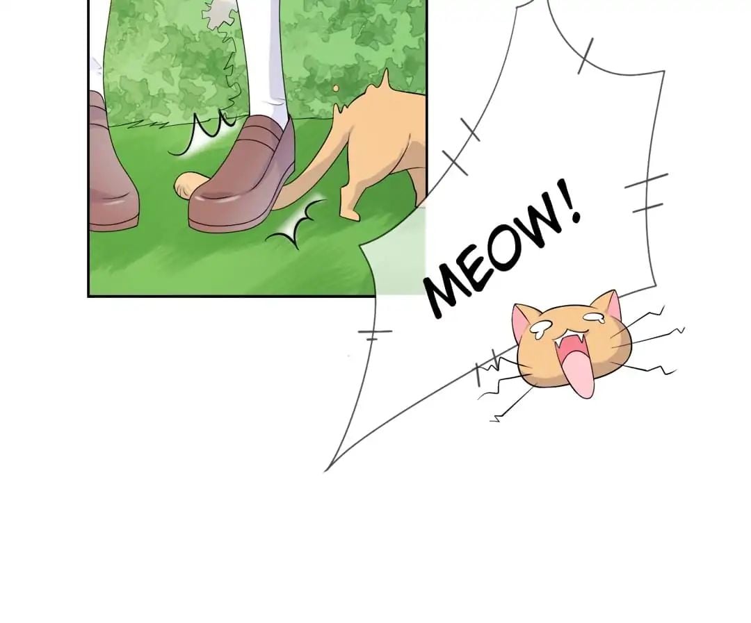Popular Deskmate is A Cat chapter 6 - page 27