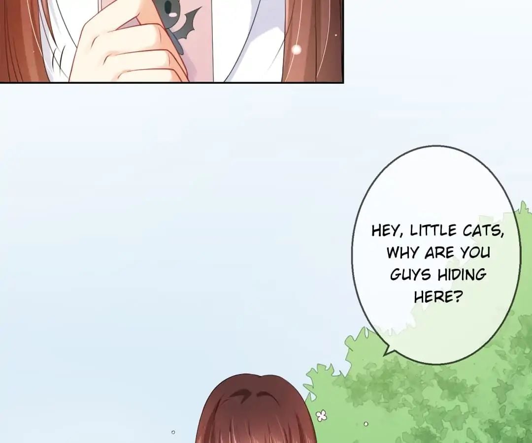 Popular Deskmate is A Cat chapter 6 - page 4