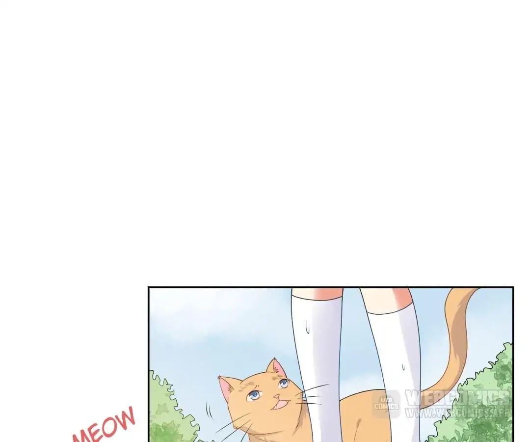 Popular Deskmate is A Cat chapter 6 - page 54
