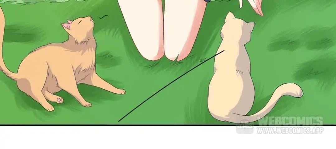 Popular Deskmate is A Cat chapter 6 - page 6