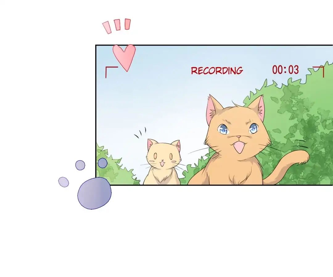Popular Deskmate is A Cat chapter 6 - page 7