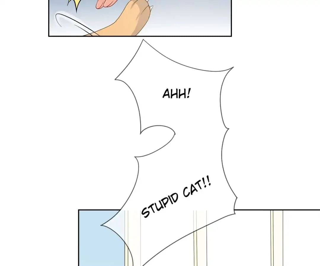 Popular Deskmate is A Cat chapter 7 - page 17