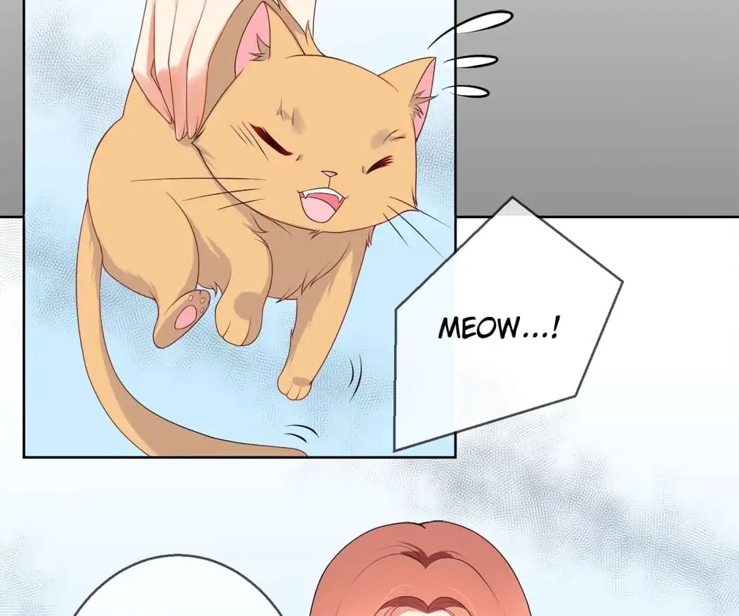 Popular Deskmate is A Cat chapter 7 - page 3