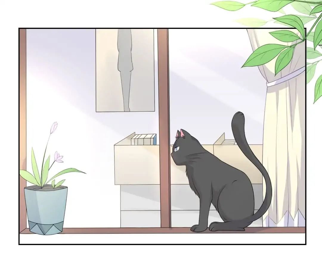 Popular Deskmate is A Cat chapter 7 - page 39
