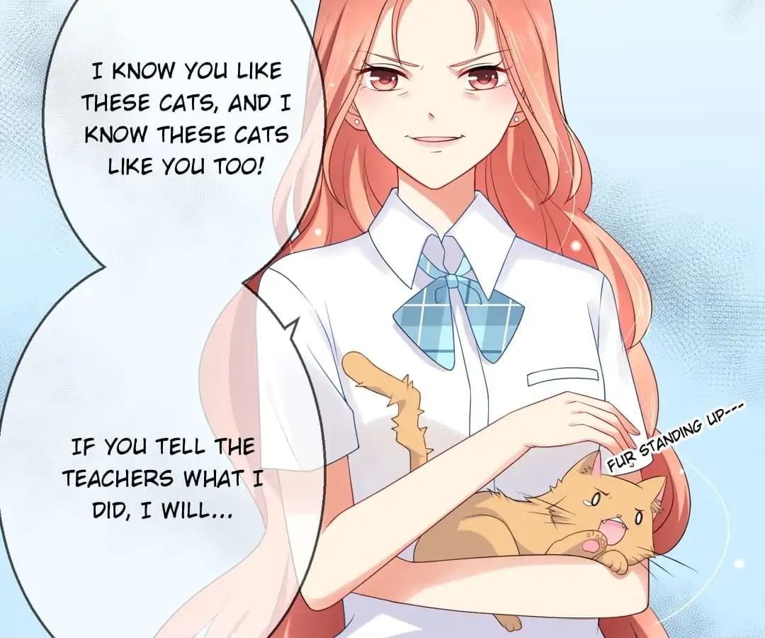 Popular Deskmate is A Cat chapter 7 - page 4