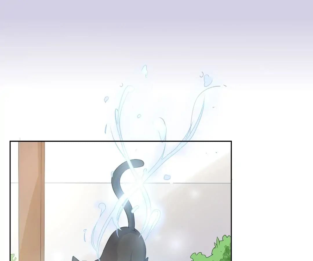 Popular Deskmate is A Cat chapter 7 - page 41