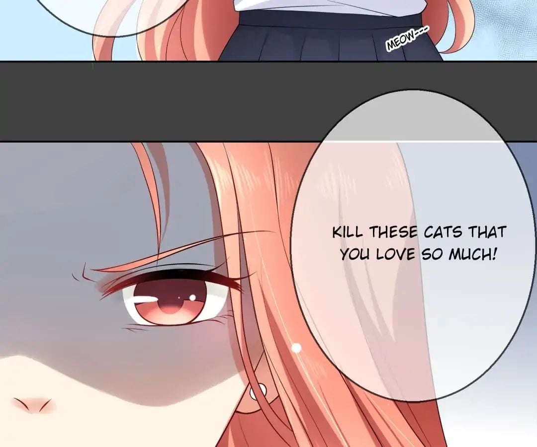 Popular Deskmate is A Cat chapter 7 - page 5
