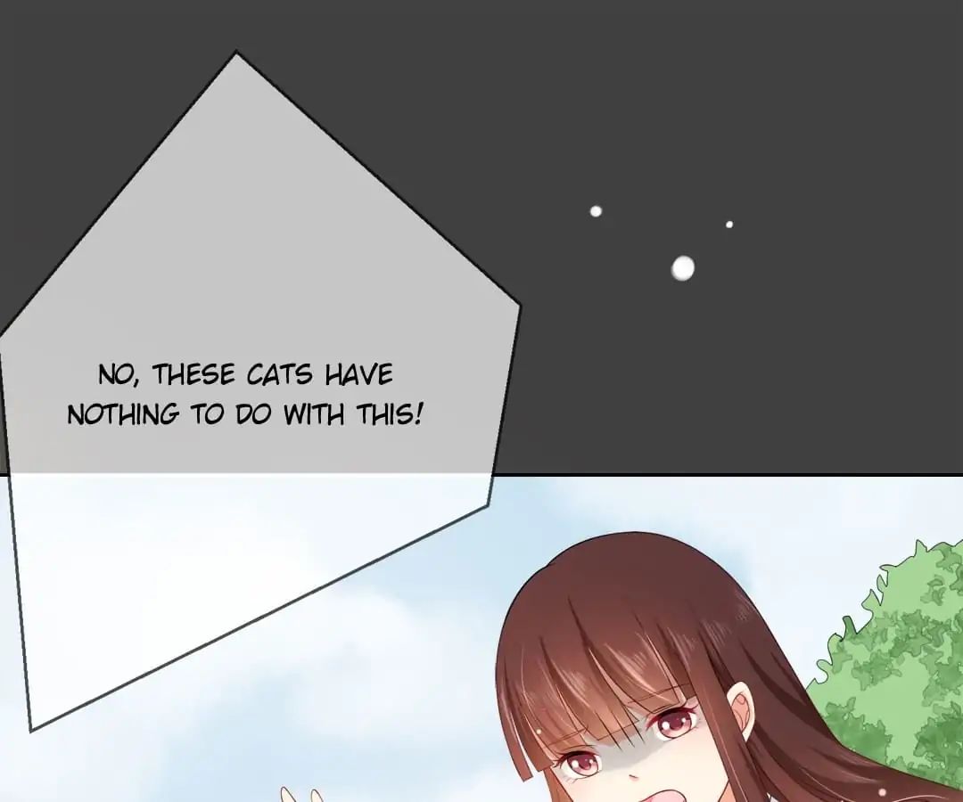 Popular Deskmate is A Cat chapter 7 - page 7