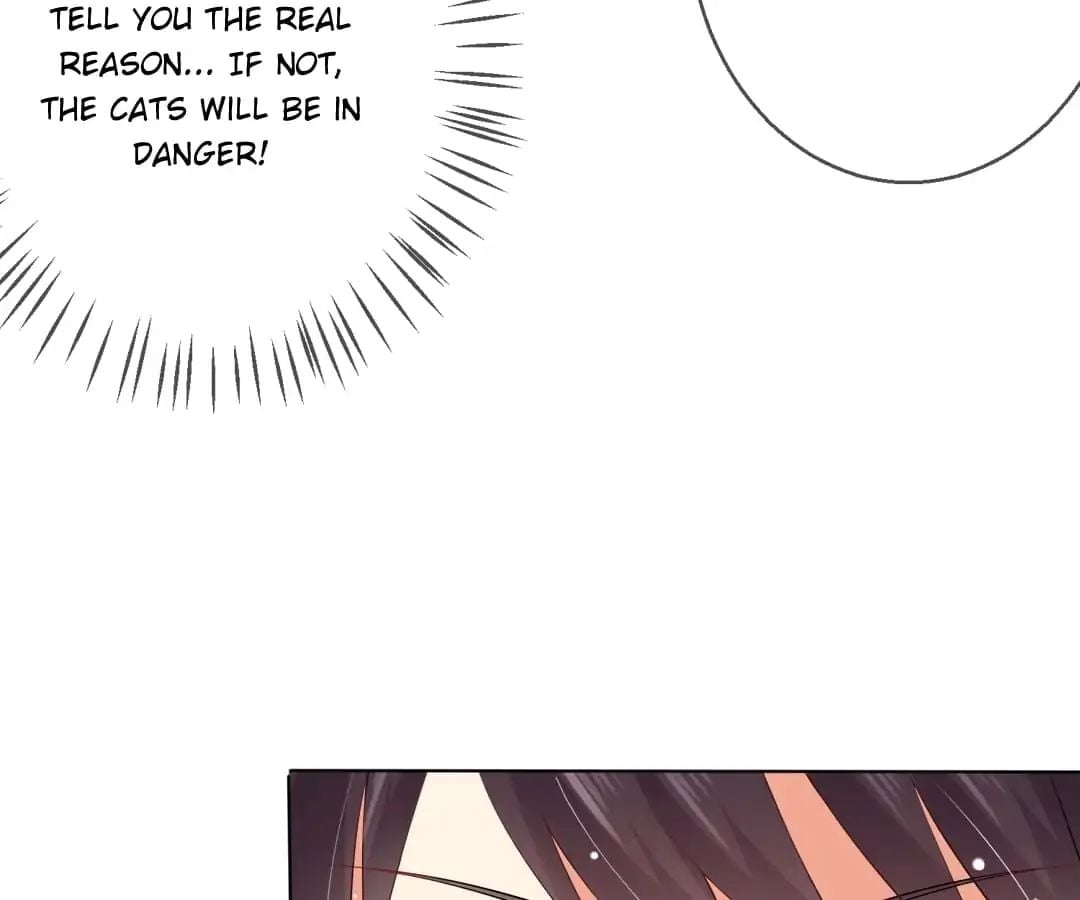 Popular Deskmate is A Cat chapter 8 - page 15
