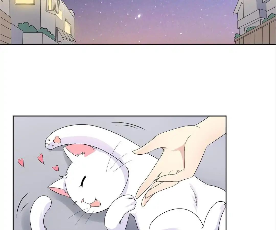 Popular Deskmate is A Cat chapter 35 - page 53