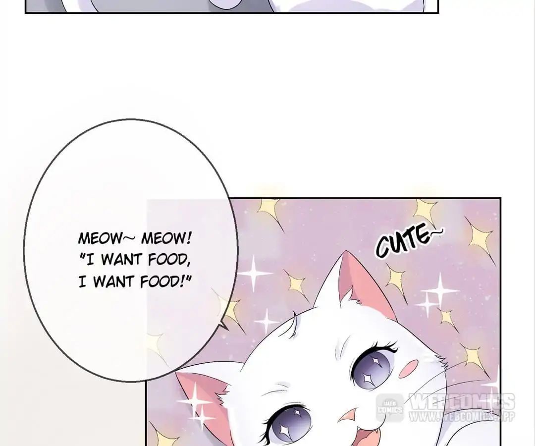 Popular Deskmate is A Cat chapter 35 - page 54