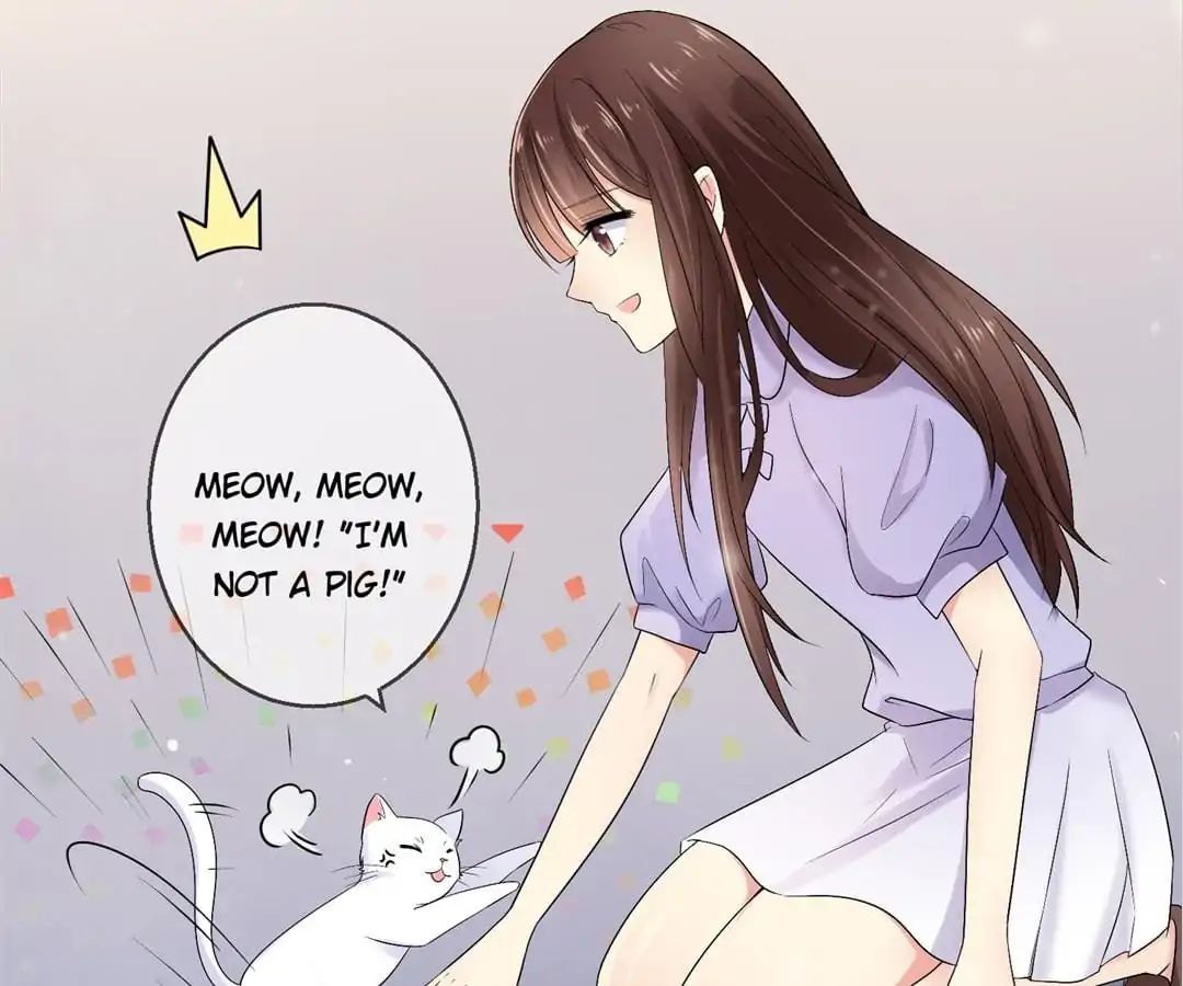 Popular Deskmate is A Cat chapter 35 - page 56