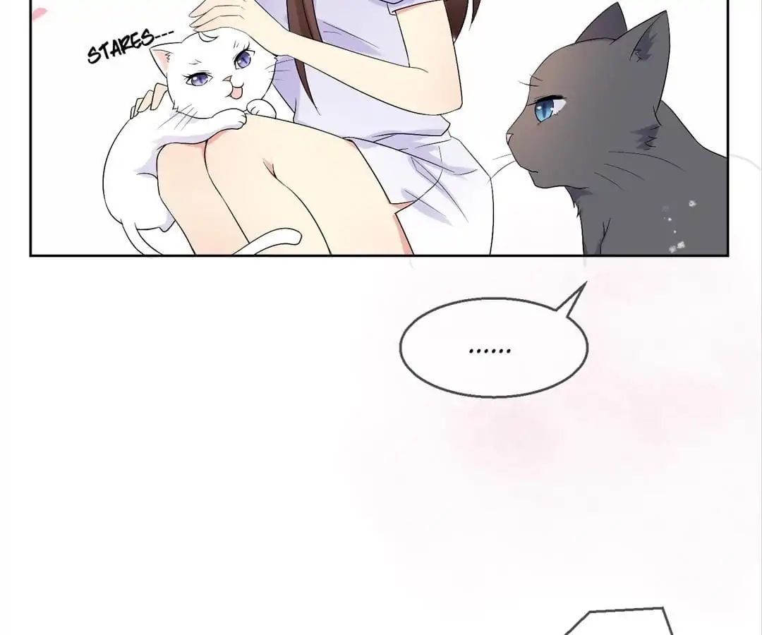 Popular Deskmate is A Cat chapter 35 - page 65