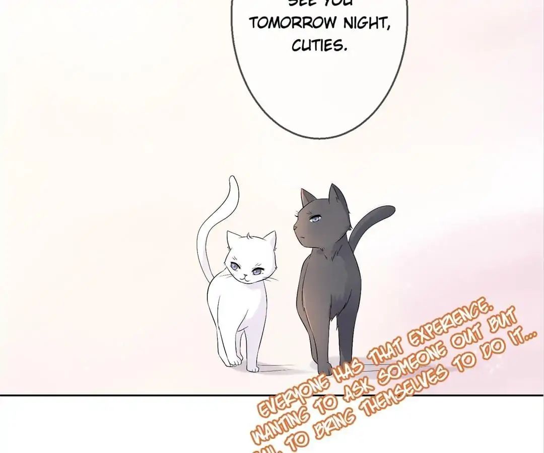 Popular Deskmate is A Cat chapter 35 - page 68