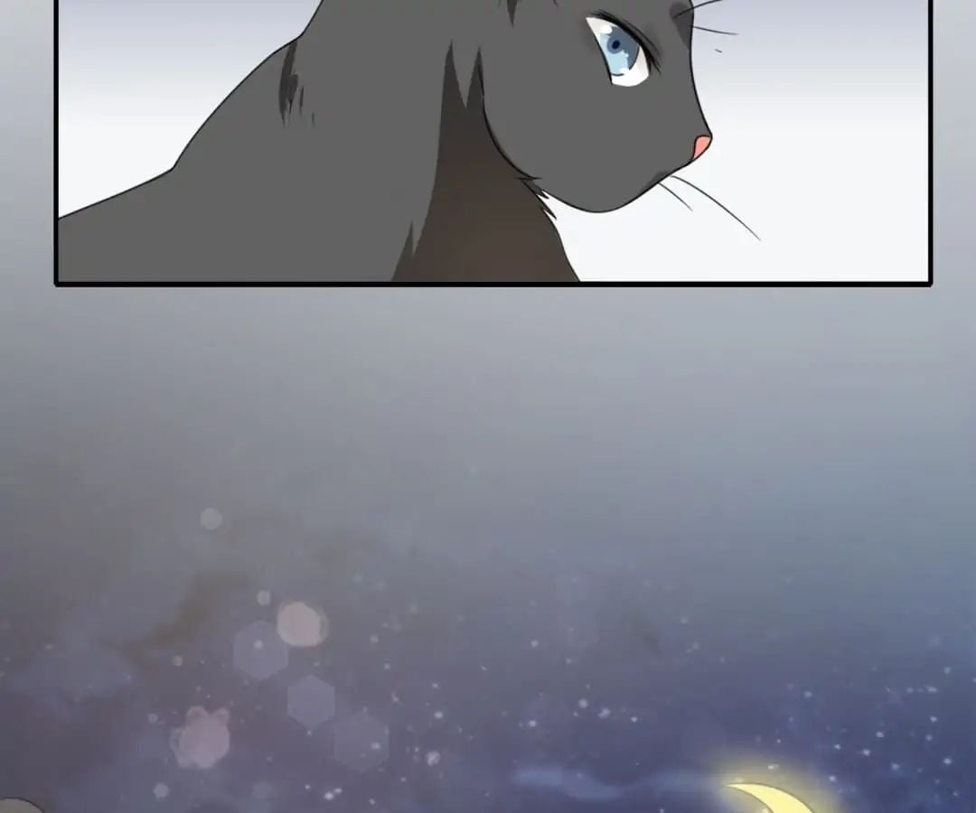 Popular Deskmate is A Cat chapter 1 - page 103