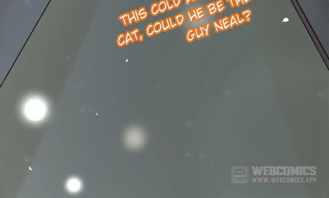 Popular Deskmate is A Cat chapter 1 - page 106