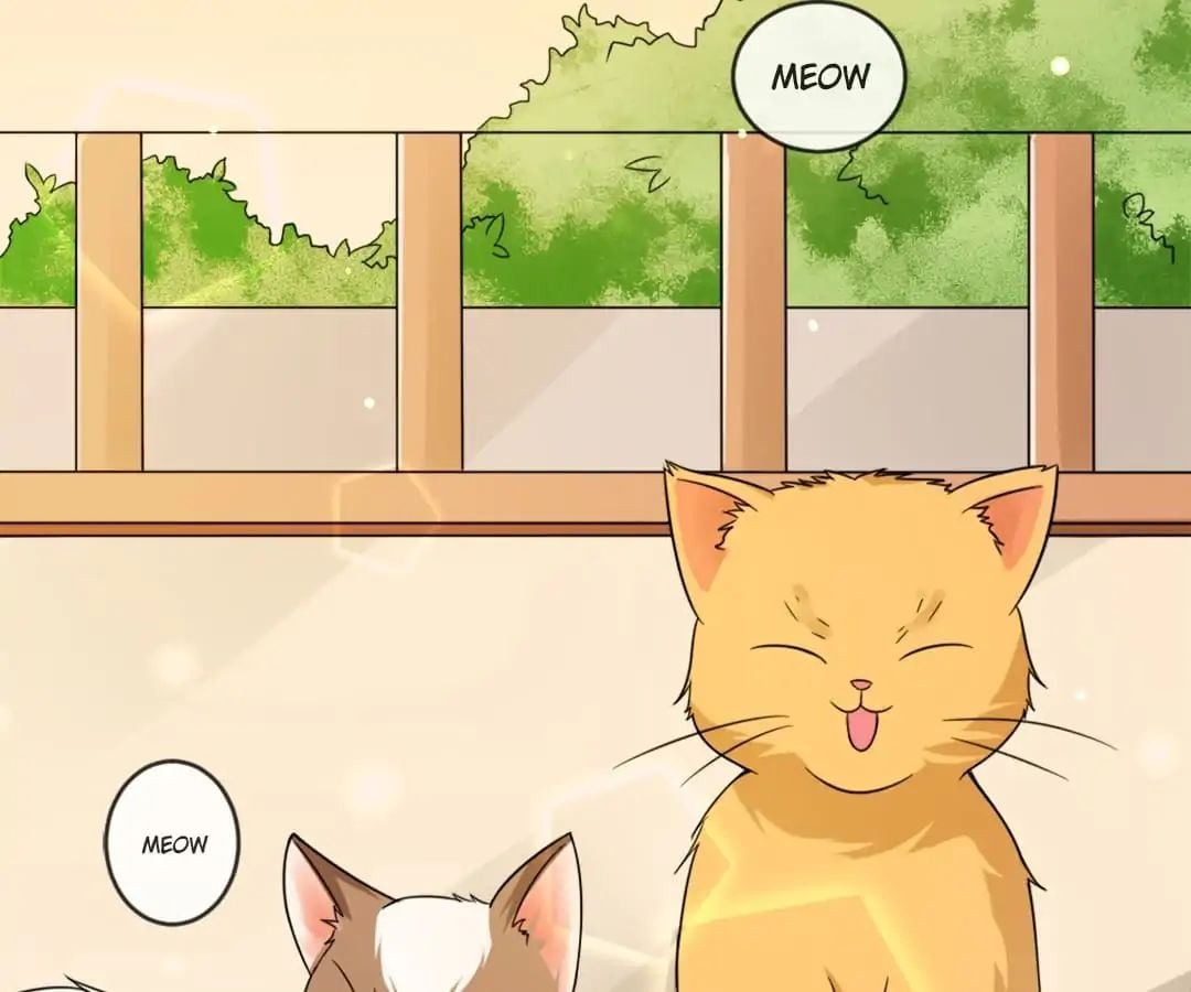 Popular Deskmate is A Cat chapter 1 - page 48