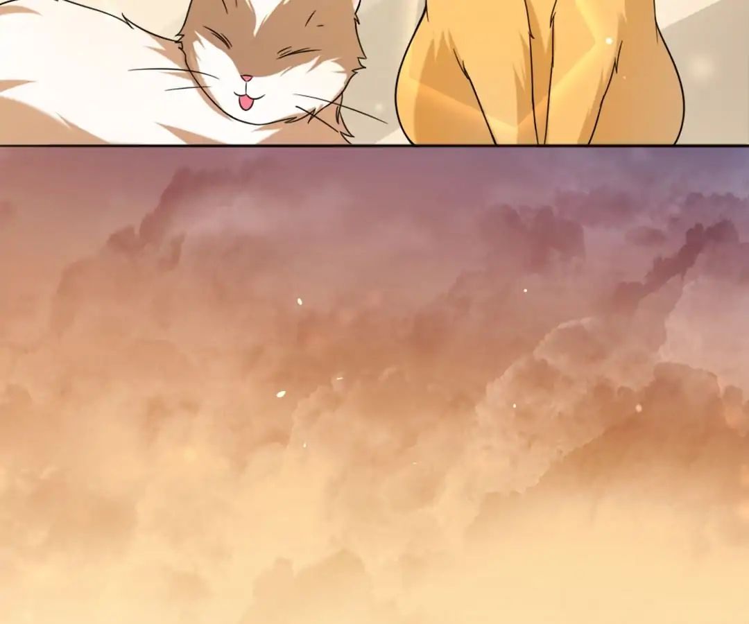 Popular Deskmate is A Cat chapter 1 - page 49