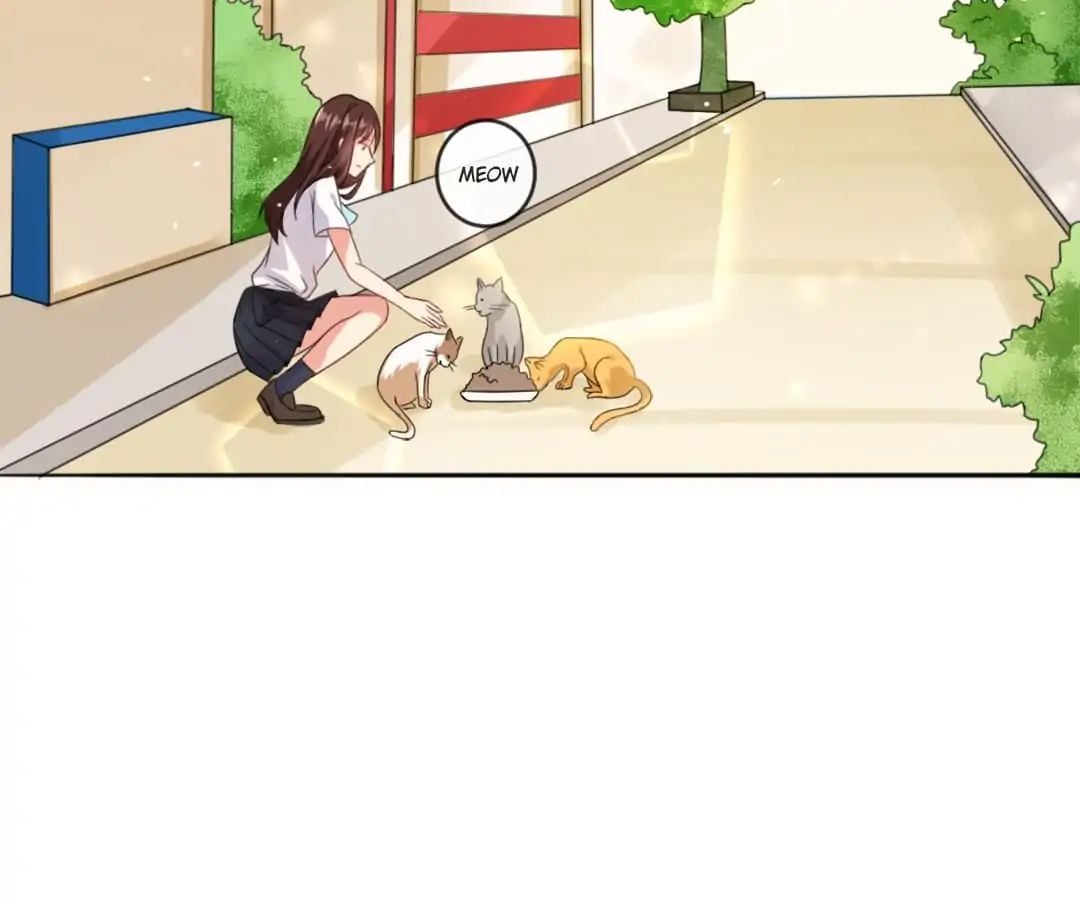 Popular Deskmate is A Cat chapter 1 - page 51