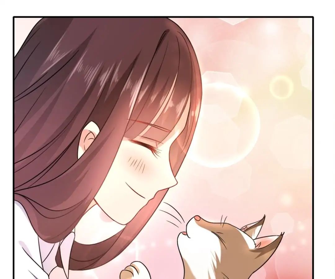 Popular Deskmate is A Cat chapter 1 - page 52