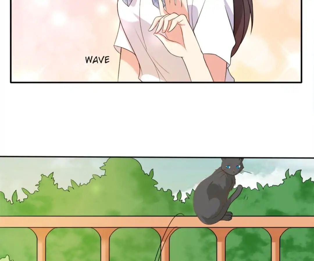 Popular Deskmate is A Cat chapter 1 - page 61