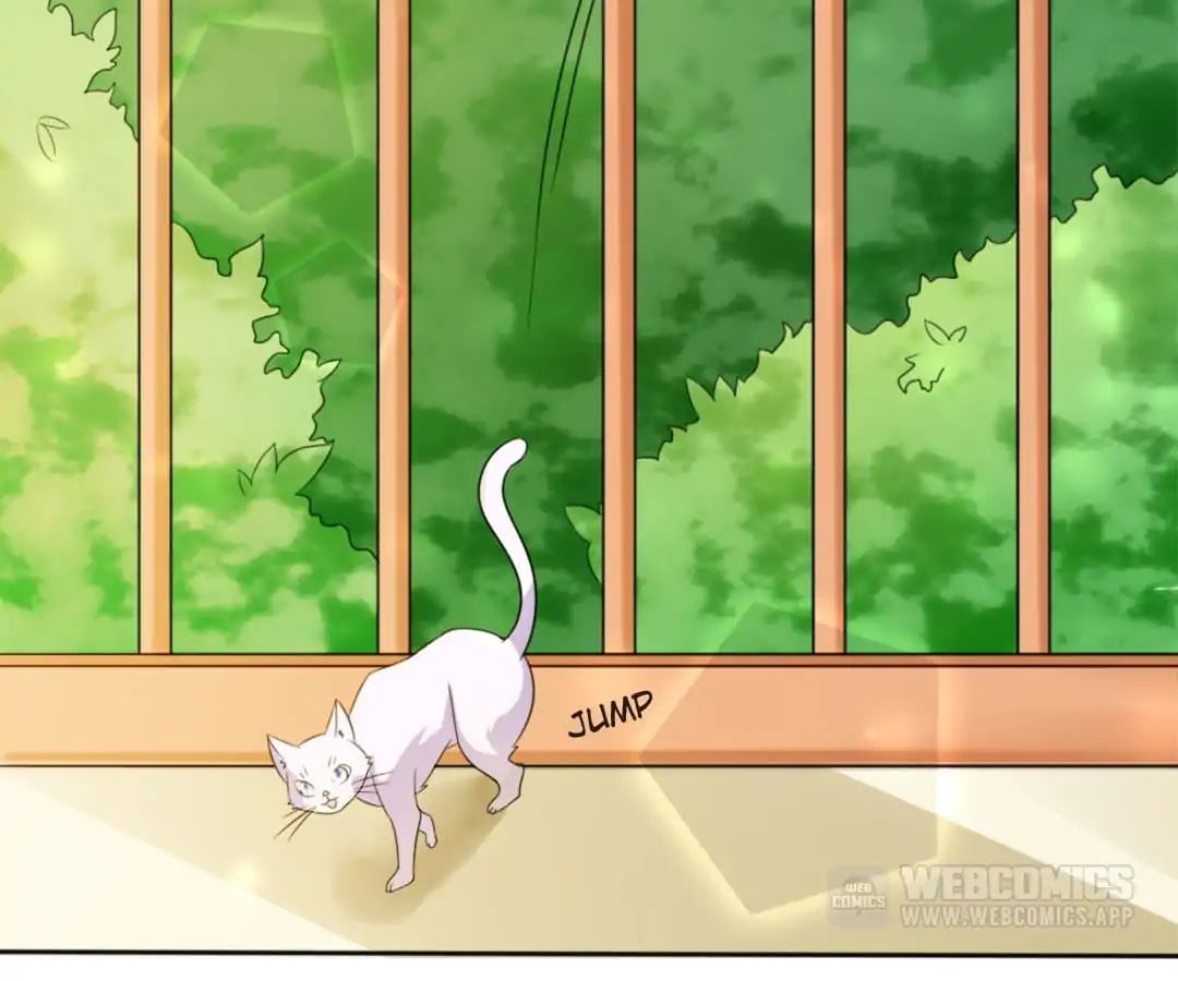 Popular Deskmate is A Cat chapter 1 - page 62