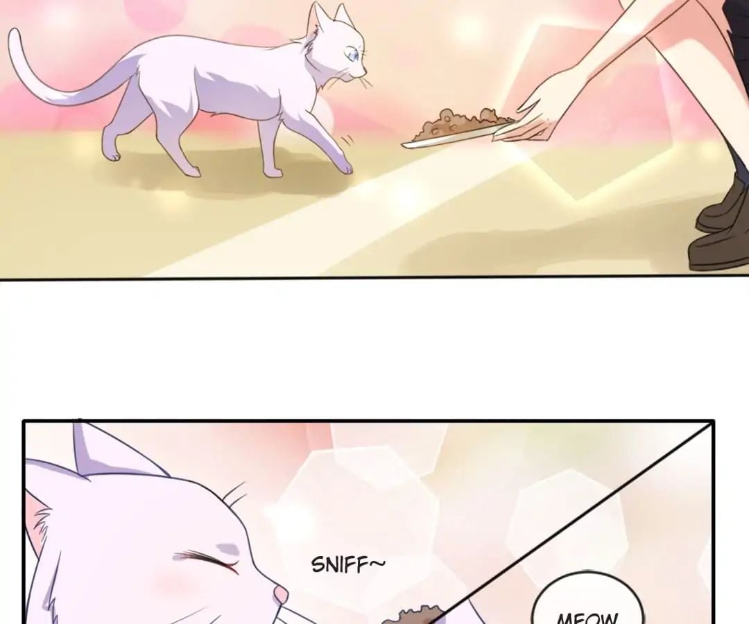 Popular Deskmate is A Cat chapter 1 - page 64
