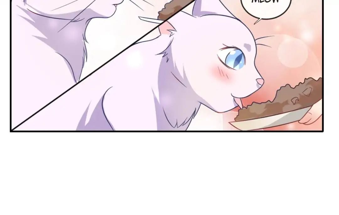 Popular Deskmate is A Cat chapter 1 - page 65