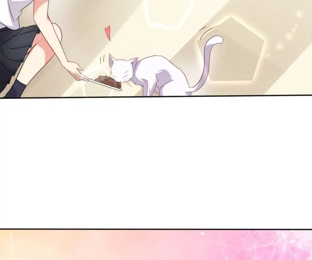 Popular Deskmate is A Cat chapter 1 - page 68