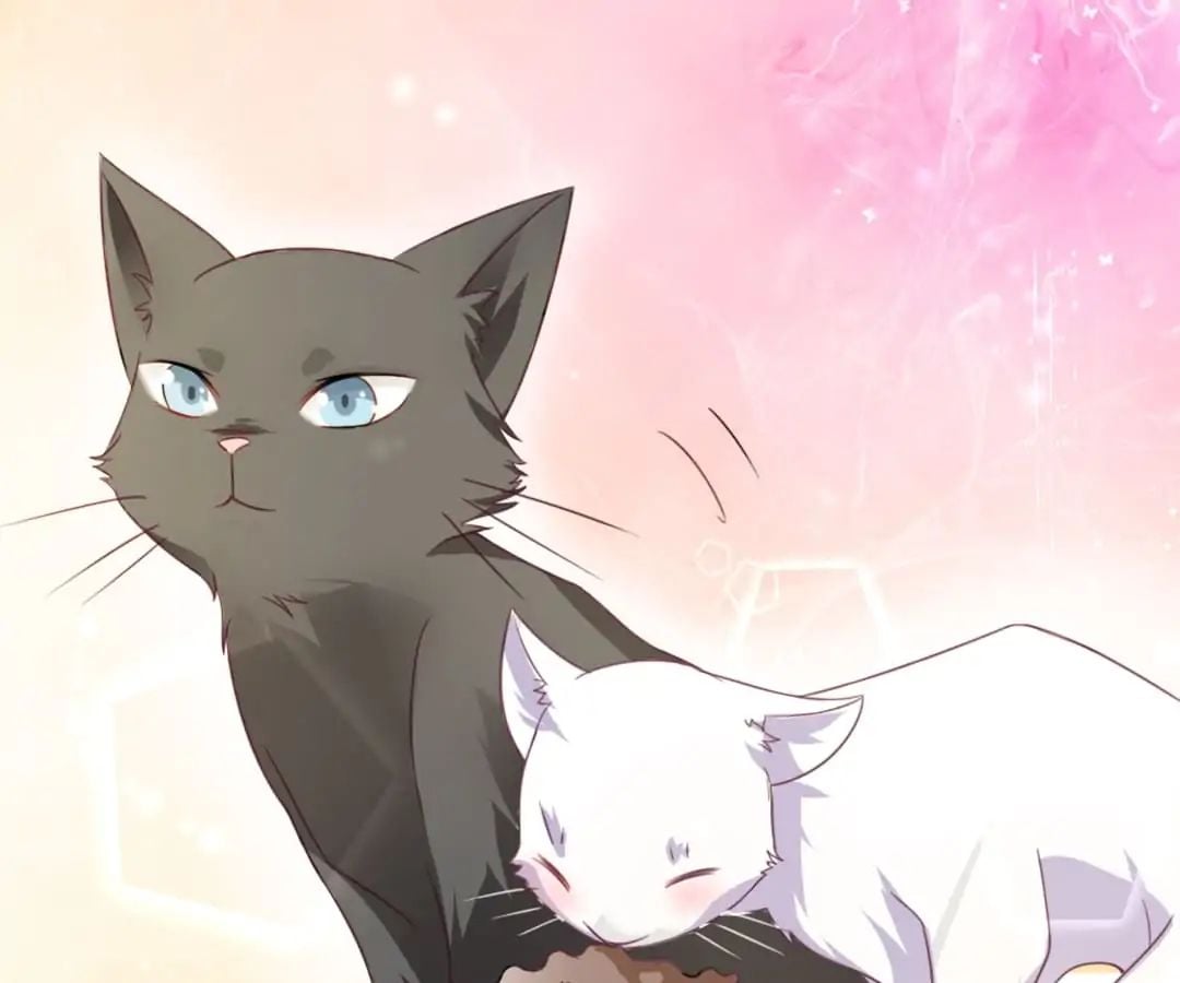 Popular Deskmate is A Cat chapter 1 - page 69