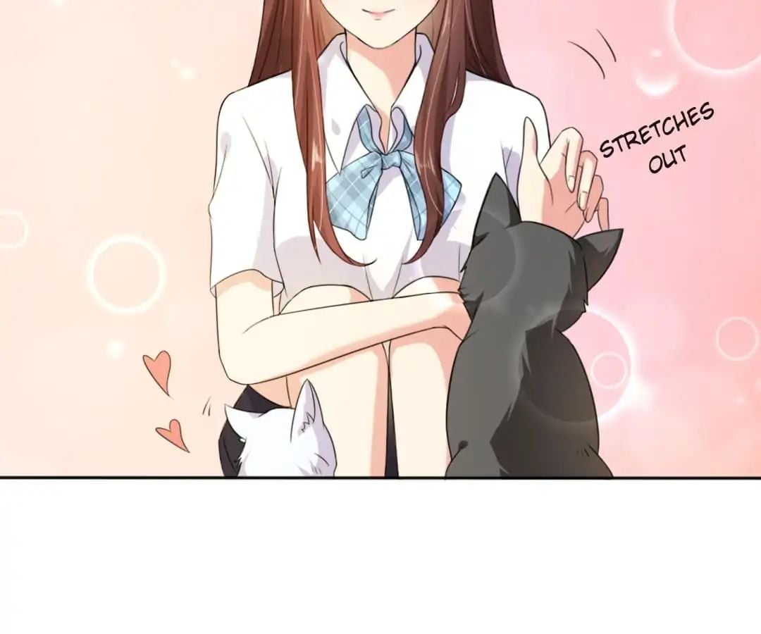 Popular Deskmate is A Cat chapter 1 - page 72