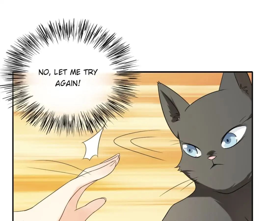 Popular Deskmate is A Cat chapter 1 - page 76