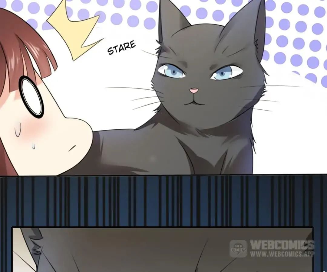 Popular Deskmate is A Cat chapter 1 - page 78