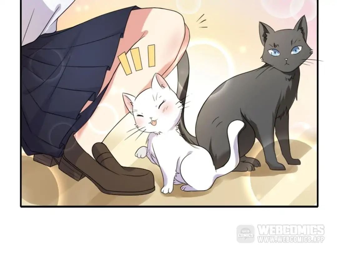 Popular Deskmate is A Cat chapter 1 - page 82