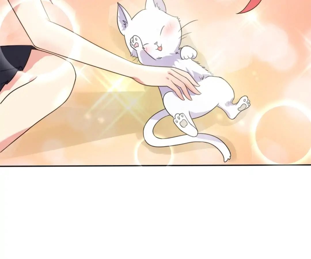 Popular Deskmate is A Cat chapter 1 - page 84