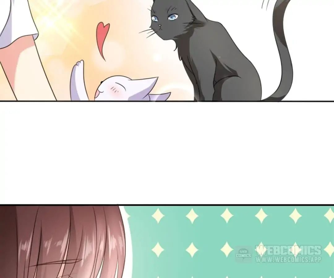 Popular Deskmate is A Cat chapter 1 - page 86