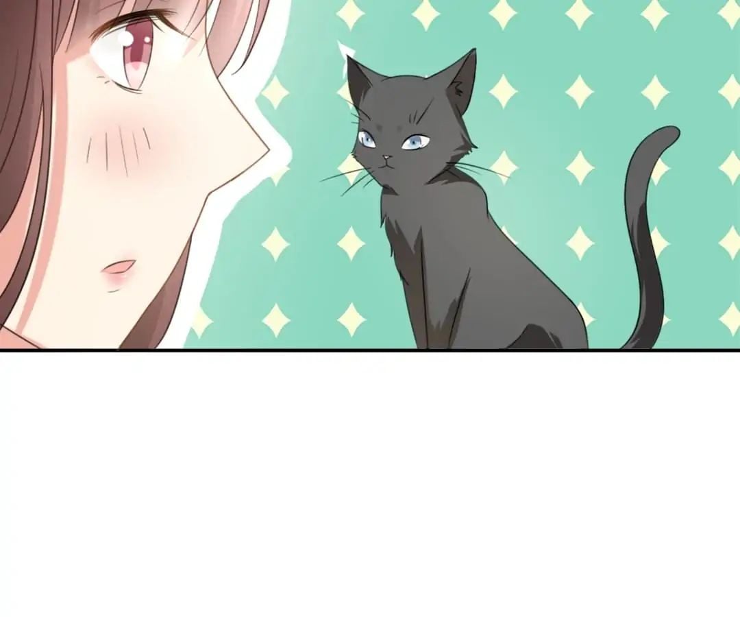 Popular Deskmate is A Cat chapter 1 - page 87