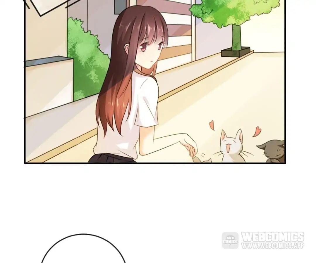 Popular Deskmate is A Cat chapter 1 - page 94