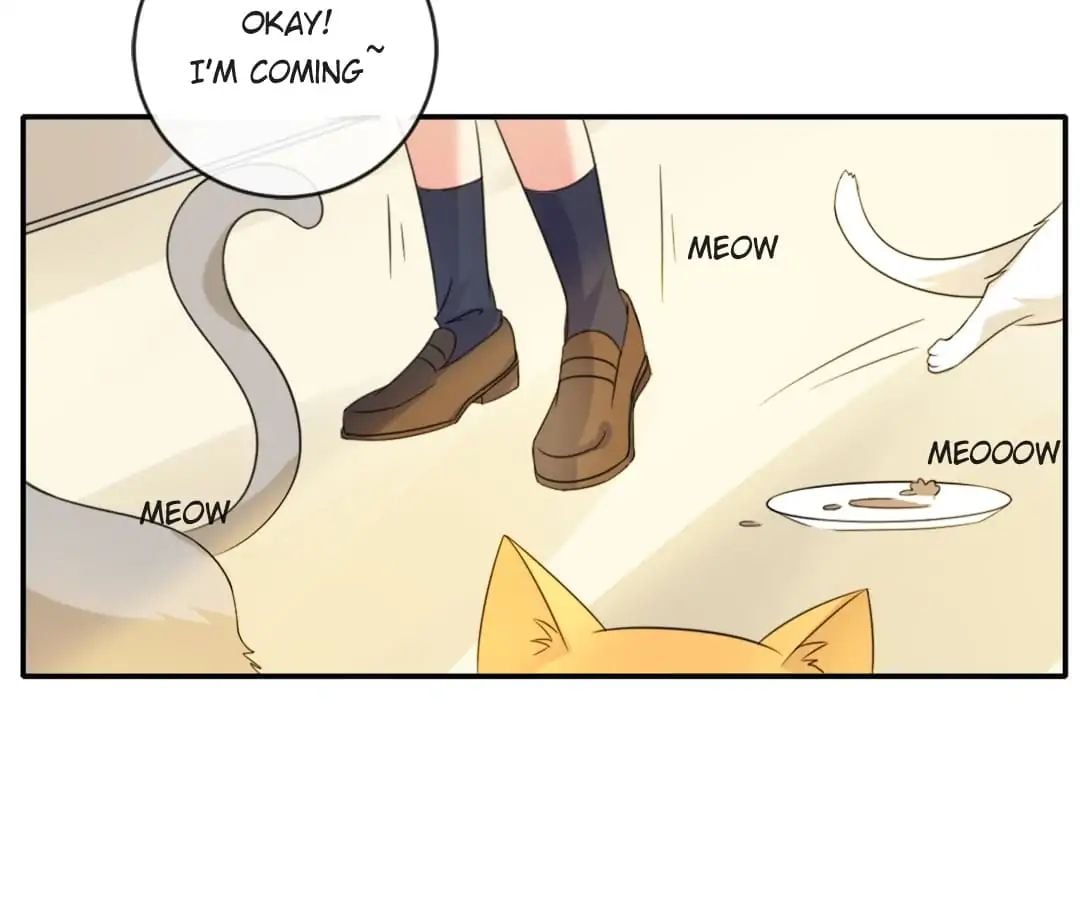 Popular Deskmate is A Cat chapter 1 - page 95