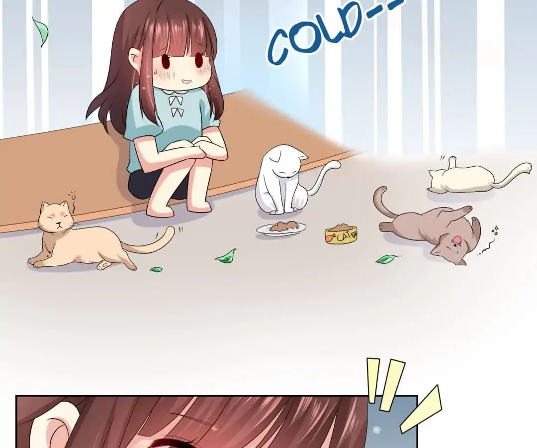 Popular Deskmate is A Cat chapter 20 - page 23