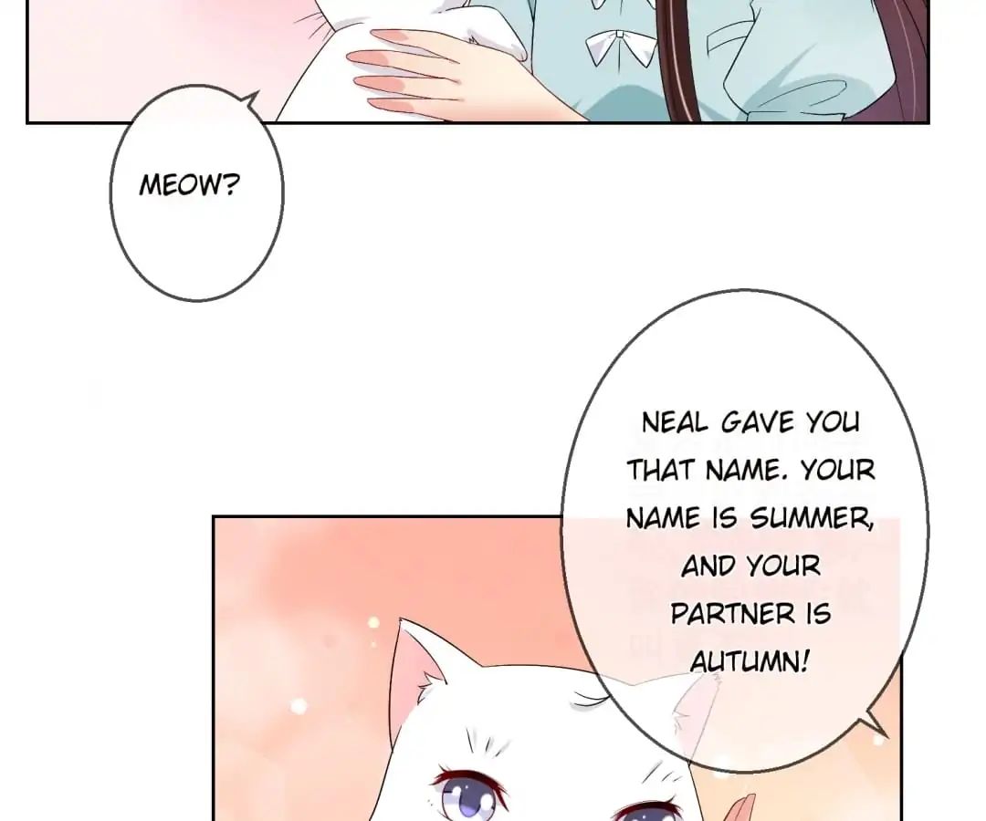 Popular Deskmate is A Cat chapter 20 - page 28