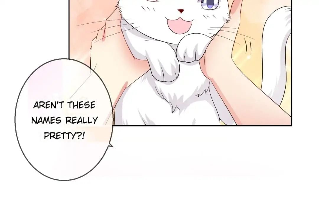 Popular Deskmate is A Cat chapter 20 - page 29