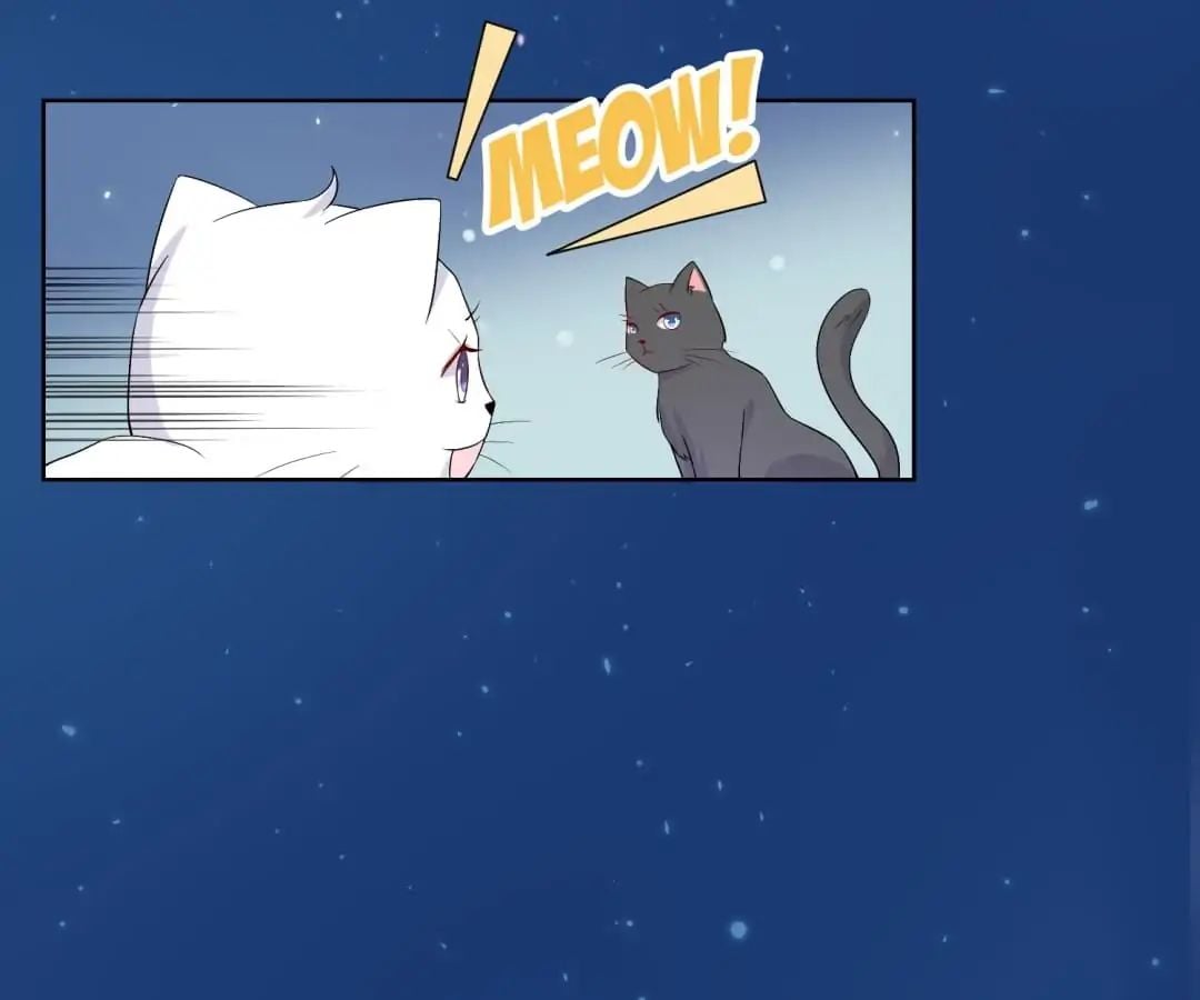 Popular Deskmate is A Cat chapter 20 - page 35