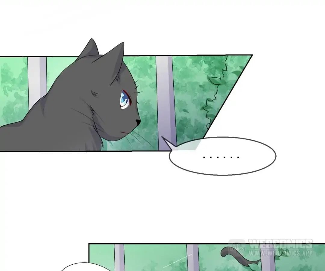 Popular Deskmate is A Cat chapter 20 - page 38