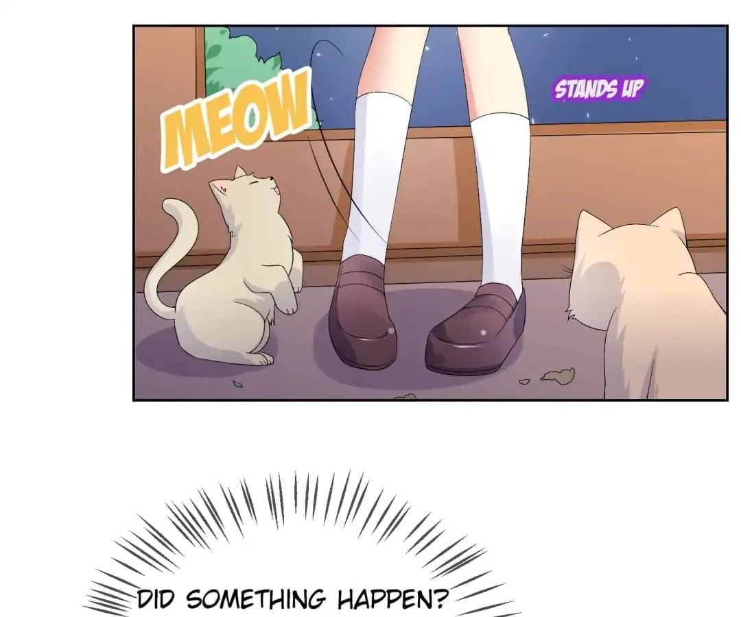 Popular Deskmate is A Cat chapter 20 - page 41